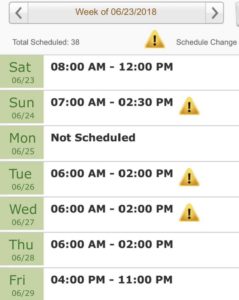 publix schedule